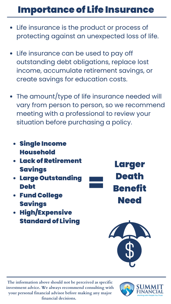 Importance of Life Insurance Infographic 