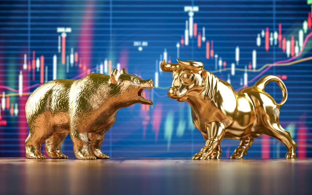 How Do Bull Markets and Bear Markets Differ?